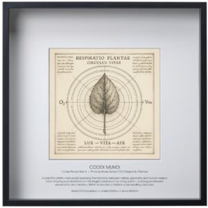 Codex Florae Liber II — Photosynthesis Series CV2.3 Respiratio Plantae