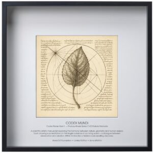 Codex Florae Liber II — Photosynthesis Series CV2.5 Solaris Memoria