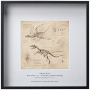 First Form Fossil Anatomy Plate